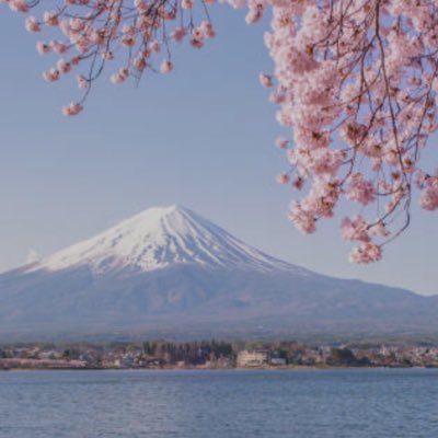 日本保守党党員です、よろしくお願いします、静岡県民です。