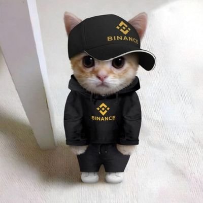 Brahim_benzelli's profile picture. ⚡️