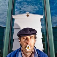 Steve Benbow (@londonhoneyman) 's Twitter Profile