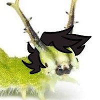 Kassassin (@kassassinart) 's Twitter Profile