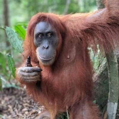 imogistoic's profile picture. AI @Google