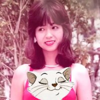 猫リコ🐱 (@riko7daice) 's Twitter Profile Photo 猫リコ🐱 (@riko7daice) 's Twitter Profile Photo