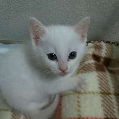 D4PNs5b6SB73002's profile picture. 