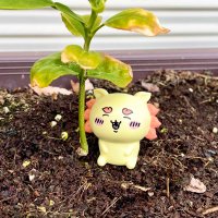 れもん (@lemonmashi) 's Twitter Profile