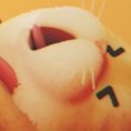 ⭐CatsualCatizen⭐さんのプロフィール画像