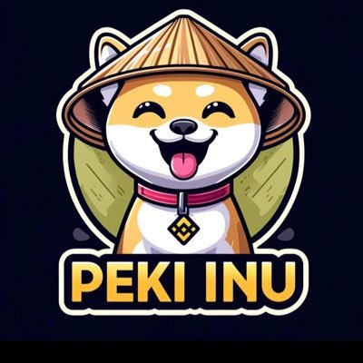 you know Floki INU / Shiba INU … I’M PEKI INU 🐶🚀