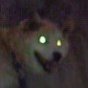 kogechan_d's profile picture. 箱タンデビューでマスピ復帰勢
オラタンでブッパしたい突撃テムジン
アリスギアで張り付いて近接やってる隊長っす。