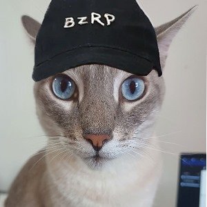 The memecoin of Bizarrap fans. Join into community!   🚀 🐱🎵
Token Launch Soon, Stay Tuned!!
