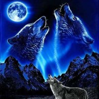 (BOZKURT) (@yan_ertan79242) Twitter profile photo