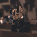 cloudywintr (@cloudy_wintr) Twitter profile photo cloudywintr (@cloudy_wintr) Twitter profile photo