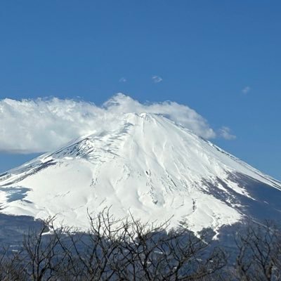 JP420831's profile picture. ※本物のみ扱ってます🌈高品質勢揃いです❤️‍🔥★ 📺reviewあります🙆‍♂️