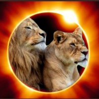 Sharaf (@ajal_moalag) 's Twitter Profile