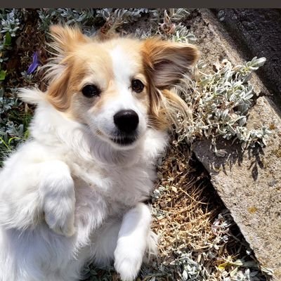 V_Dimitrovska's profile picture. 