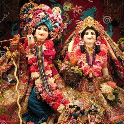 Dhanu1145's profile picture. 