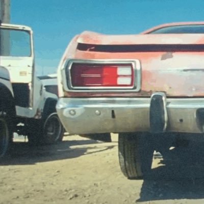 ea_immi's profile picture. 🐝Undercover beehive🐝🇬🇧