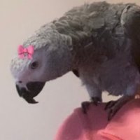 ๐ฆ
(@llllllll____7) 's Twitter Profile