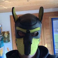 pup.Perry (@pup_perry15) 's Twitter Profile