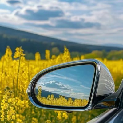 qingqing920's profile picture. 乍见之欢，不如久见不厌！