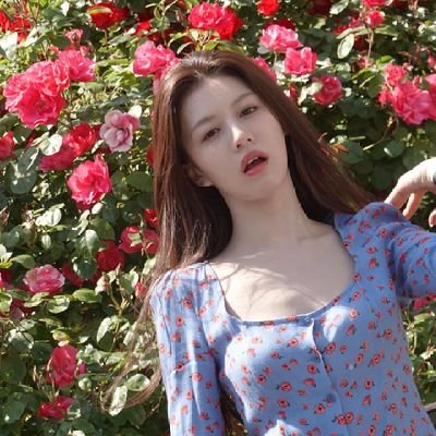 gonghwachun's profile picture. 추구미 홈프로텍터