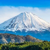 県立船橋高校自然科学部 (@kenfunascience) 's Twitter Profile