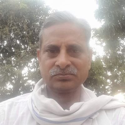 राष्ट्रीय अध्यक्ष-ओबीसी,एससी,एसटी एकता मंच
प्रदेश महासचिव ओबीसी महासभा उत्तर प्रदेश