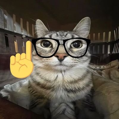 0xCrypl's profile picture. Mom doesn't let me trade shitcoins