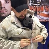 uncle winter soldier stan(@marvelsbarbie) 's Twitter Profile Photo