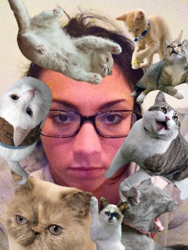 bieber_hole_6_9's profile picture. single, black female; addicted to retail.