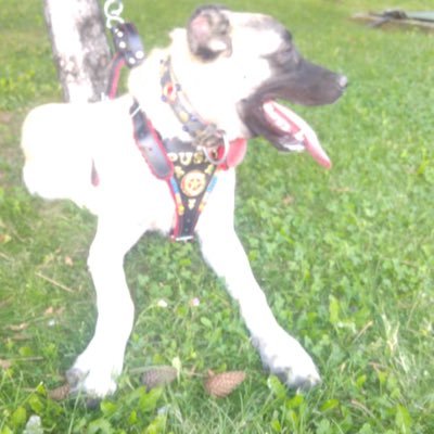 OrhanCetin10228's profile picture. 