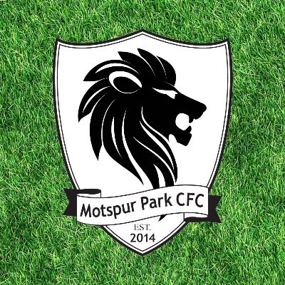 MotspurParkCFC Profile Picture