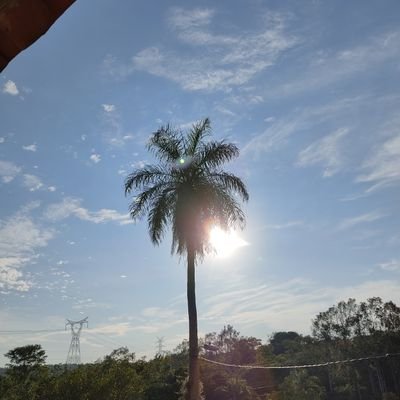 LOlselli61130's profile picture. 