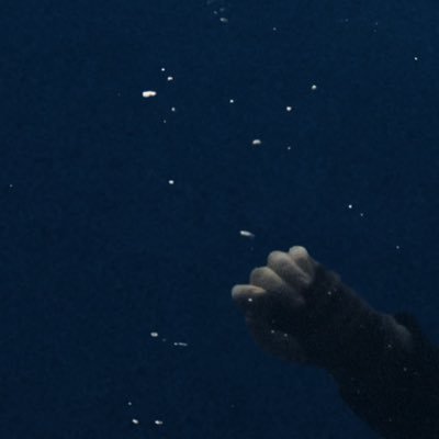 susizjsnwnso's profile picture. 