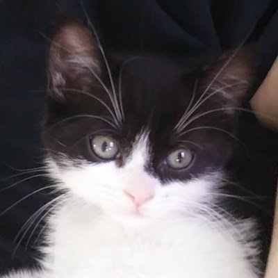 SLynn10890731's profile picture. 