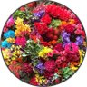 jeusrsie11613's profile picture. Imitation Rain歌うジェシー、ahahahaと笑うジェシーの色んなギャップからスト沼へ➷ღ Jesse寄りですが、結局いつも辿り着くのはSixTONES最高💎‼︎‼︎‼︎✨な大人😊