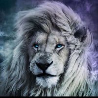 © (@odogwu_jnr_) 's Twitter Profile Photo © (@odogwu_jnr_) 's Twitter Profile Photo