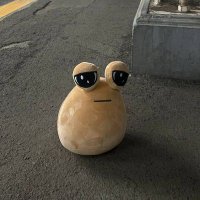 Danskuy (@turtlleless) 's Twitter Profile