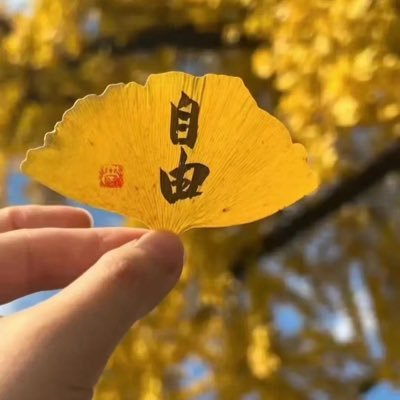 zhouming88's profile picture. 