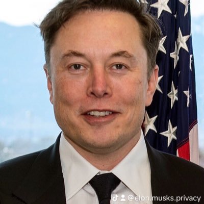 founder of The Boring Company; co-founder of Neuralink and OpenAl; and president of the philanthropic Musk Foundation.