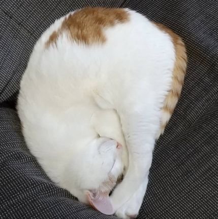 管理人の「すきにゅ~」と申します。最新のニュースや芸能、5ちゃんねる&トレンド情報をジャンル問わずまとめてます✨無言フォロー大変失礼いたします🙏お気軽にどうぞお立ち寄り下さい🙋
ジャパン・アズ・ナンバーワン!