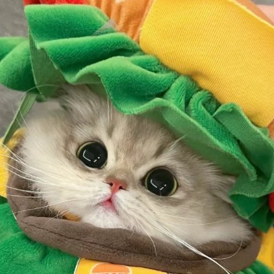 HillSonya70569's profile picture. Silence is better than unnecessary drama