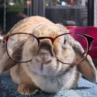 Igorthespy (@igorthespy) 's Twitter Profile