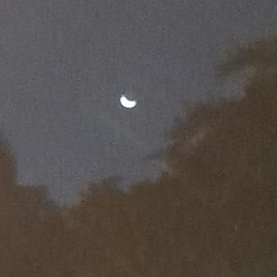 nrhanggrn's profile picture. mushroom observer and ecology