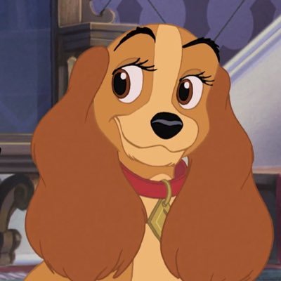 I’m Collette the oldest daughter of Lady and the tramp and I’ve got three other siblings