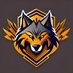 WolvesEsports (@WolvesEsports1_) Twitter profile photo