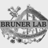 Bruner Lab(@BrunerLab) 's Twitter Profile Photo