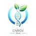 CNRGV - INRAE (@cnrgv) Twitter profile photo CNRGV - INRAE (@cnrgv) Twitter profile photo