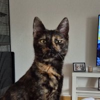 Racy (@racyr6) 's Twitter Profile