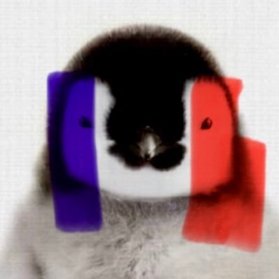 FrenchPenguin__ Profile Picture