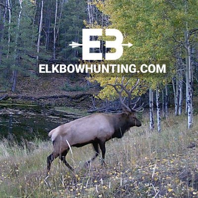 Adrenaline filled elk bowhunting adventures.  https://t.co/5EN1C70XQX