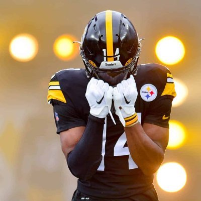 LV_Steeler Profile Picture